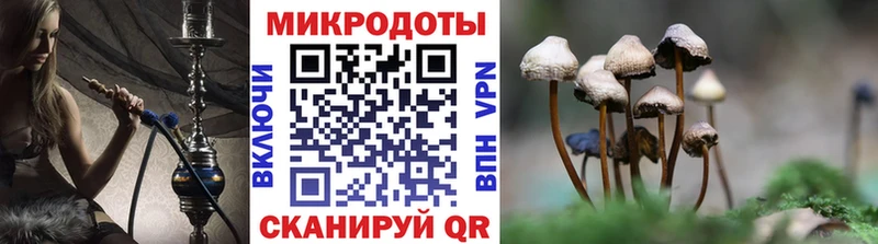 Псилоцибиновые грибы Psilocybe  закладки  это клад  Яблоновский 